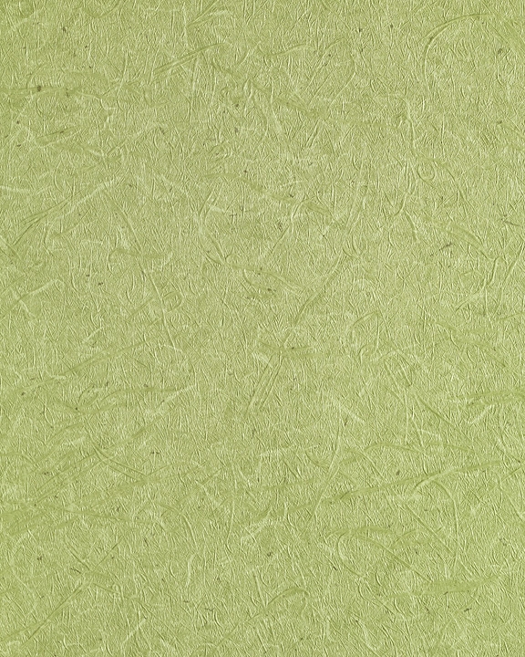 sage green faux rice paper vinyl