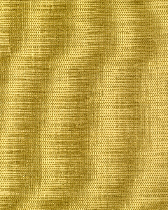 Sunny Gold Sisal Grasscloth - Shop Today